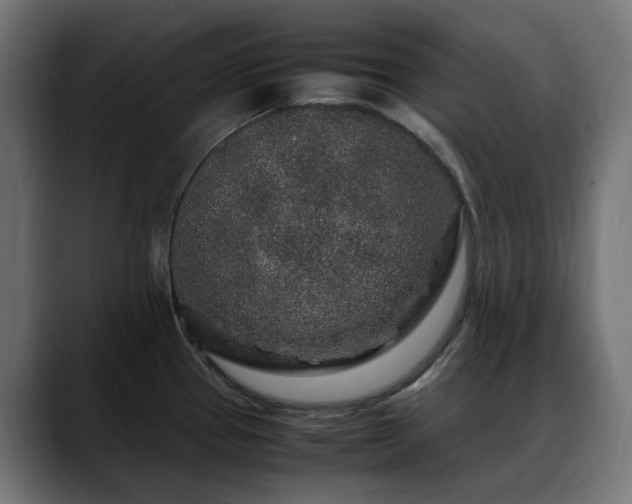 X0000088621337200705251233