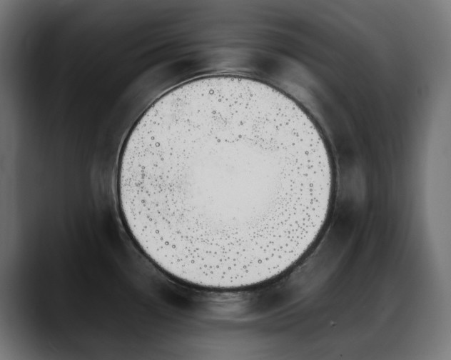 X0000088621338200705251233