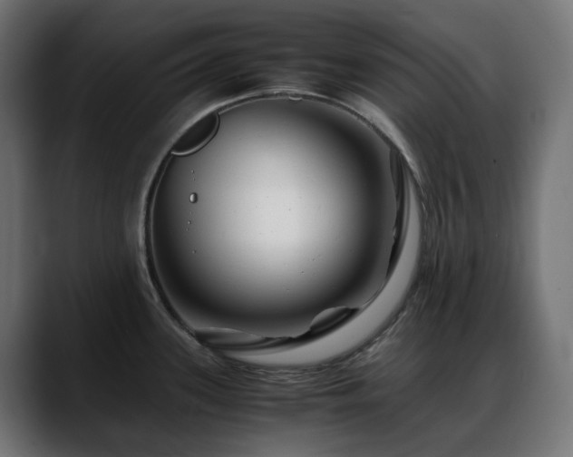 X0000088621339200705251233