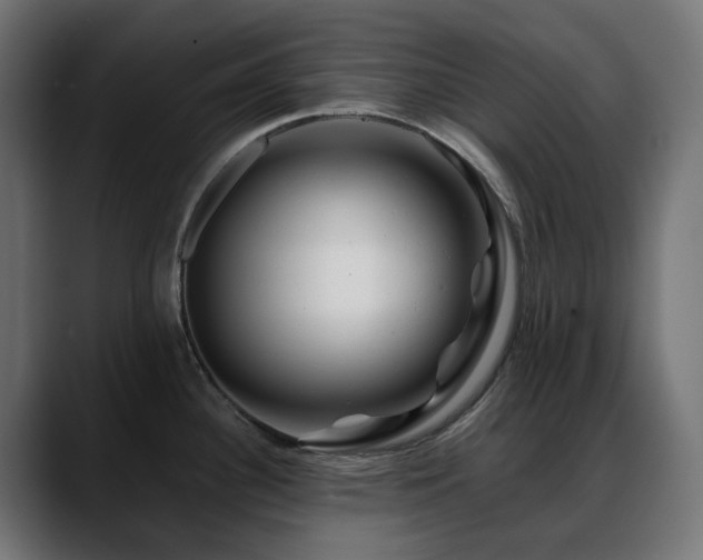 X0000088621340200705251233