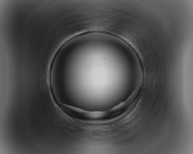 X0000088621342200705251233