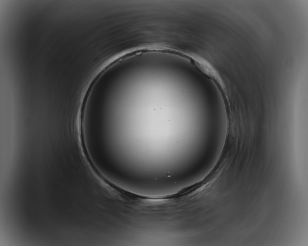 X0000088621343200705251233