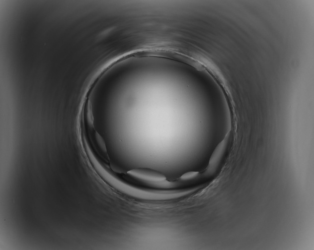 X0000088621344200705251233