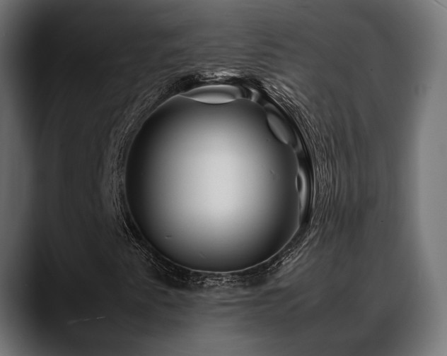 X0000088621345200705251233