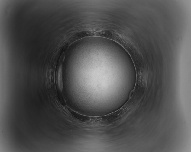 X0000088621346200705251233