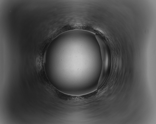 X0000088621348200705251233
