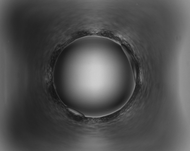 X0000088621349200705251233