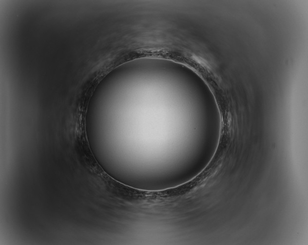 X0000088621350200705251233