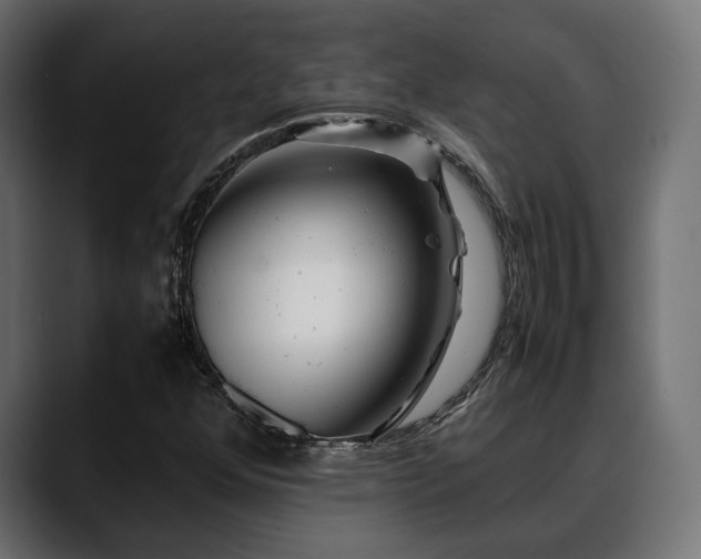 X0000088621352200705251233