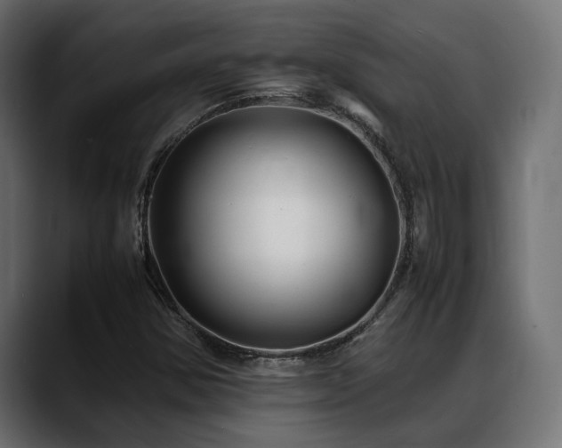 X0000088621354200705251233