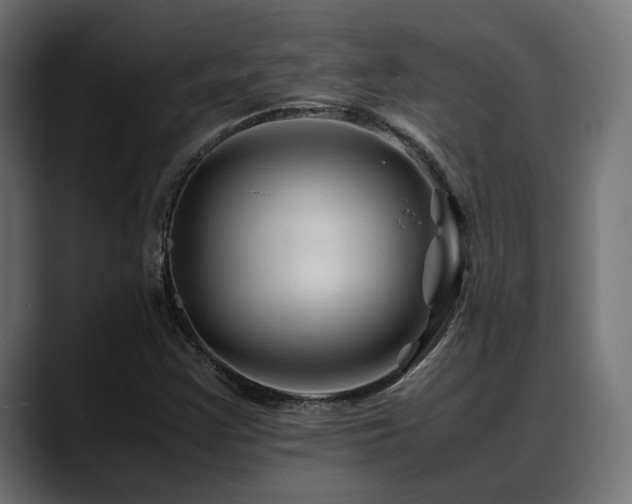 X0000088621355200705251233