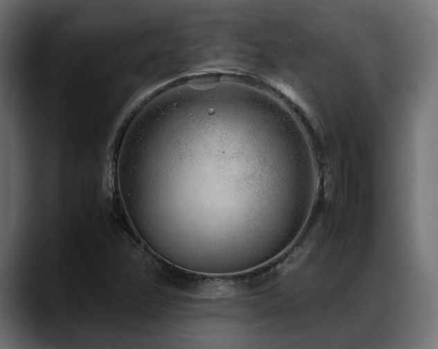 X0000088621358200705251233