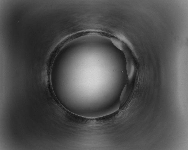 X0000088621360200705251232