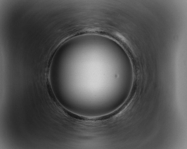 X0000088621361200705251232