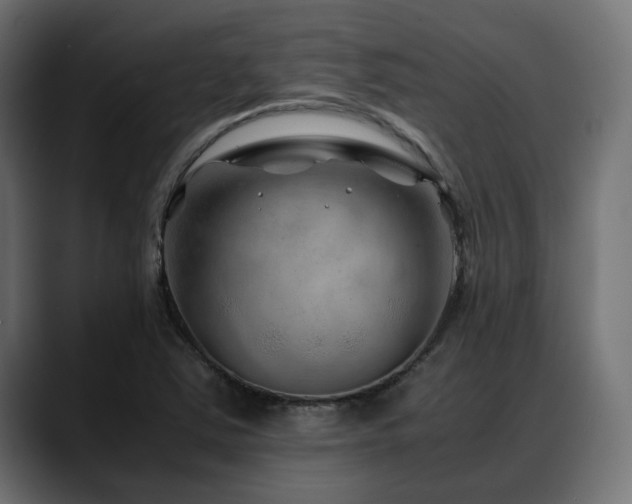 X0000088621363200705251232