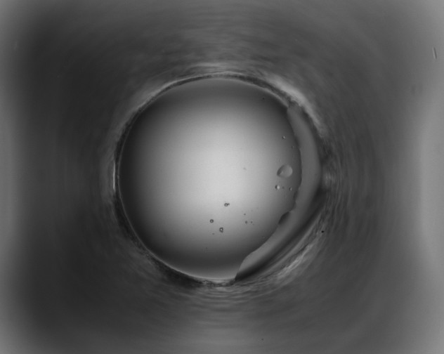 X0000088621365200705251232