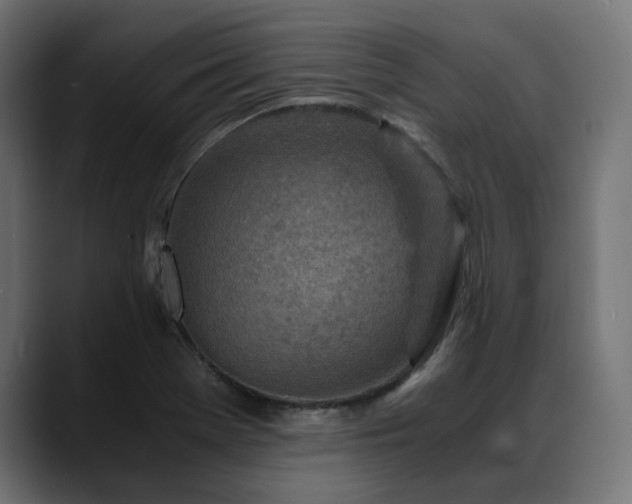 X0000088621369200705251232