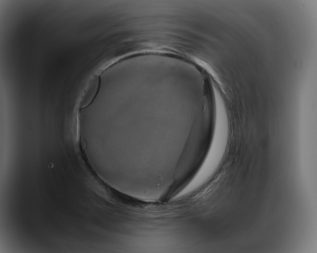 X0000088621371200705251232