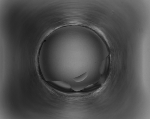 X0000088621373200705251232