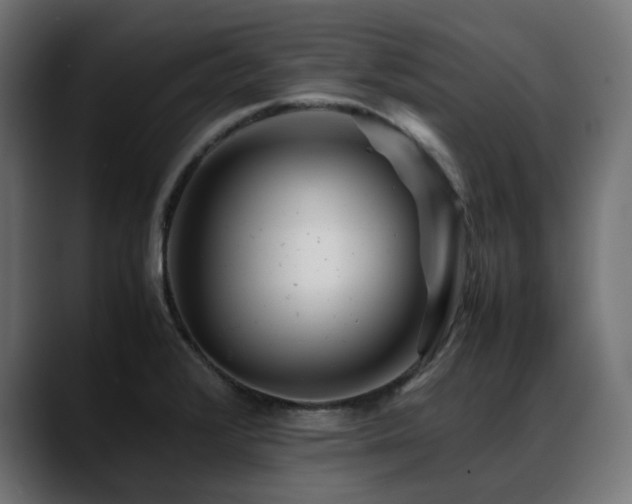 X0000088621376200705251232