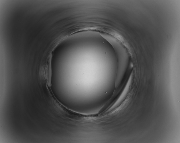 X0000088621377200705251232
