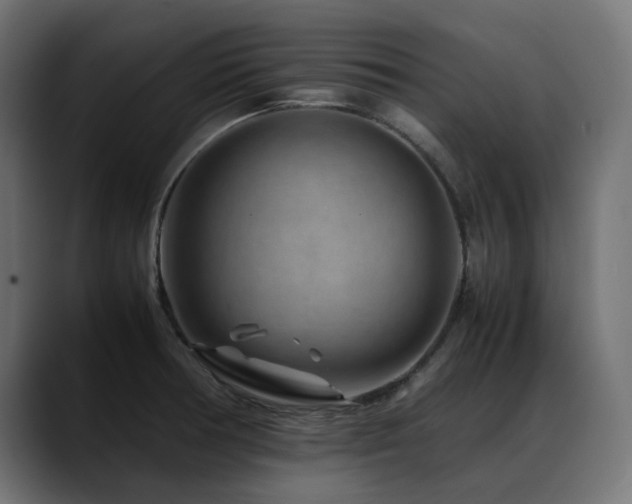 X0000088621378200705251232