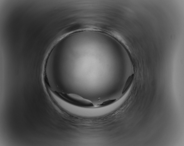 X0000088621379200705251232