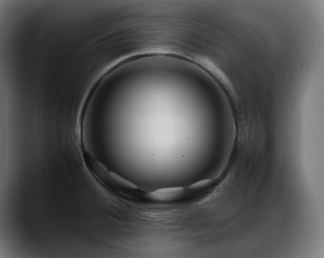 X0000088621380200705251232