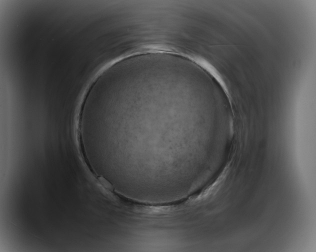 X0000088621381200705251232