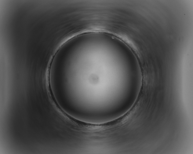 X0000088621382200705251232