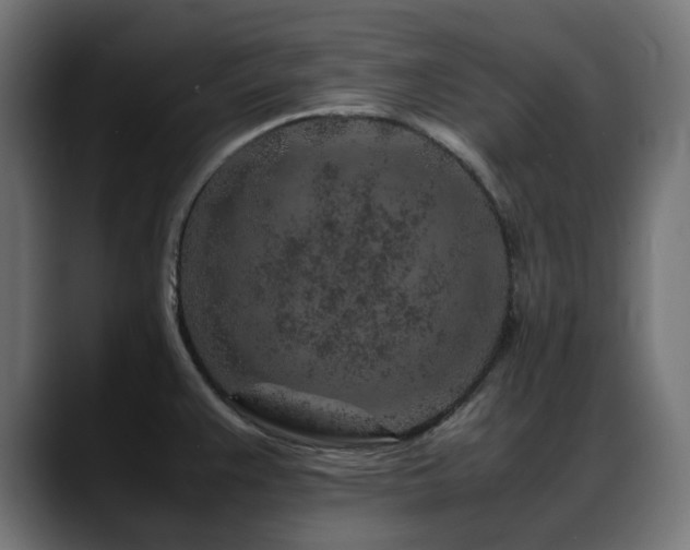 X0000088621383200705251232