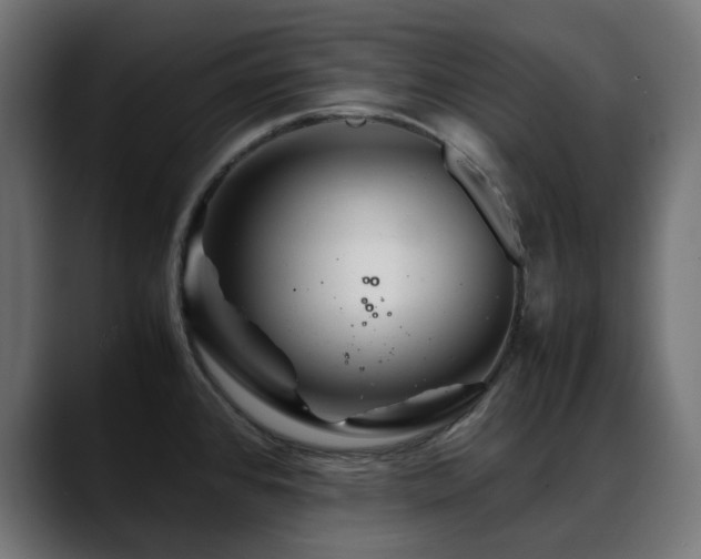 X0000088621384200705251232