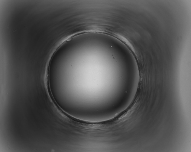 X0000088621387200705251232