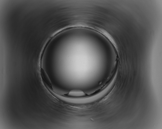 X0000088621388200705251232