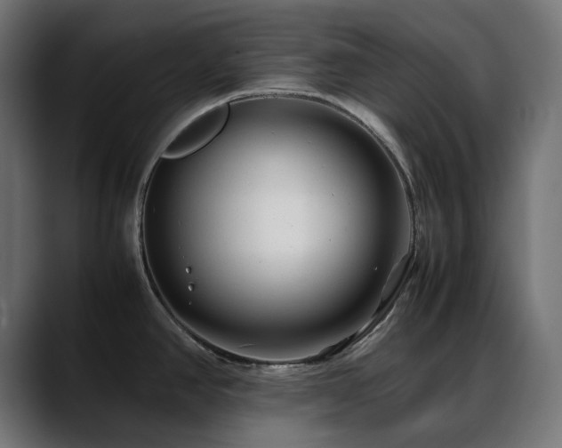 X0000088621390200705251232