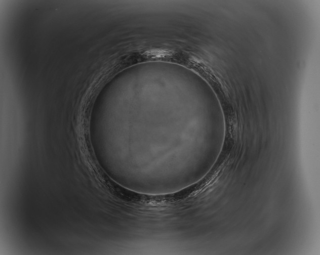 X0000088621393200705251231