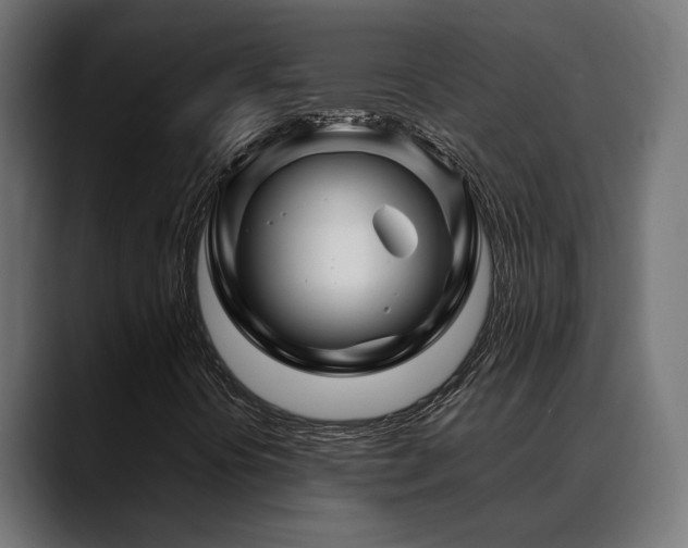 X0000088621394200705251231