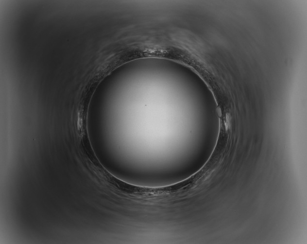 X0000088621396200705251231