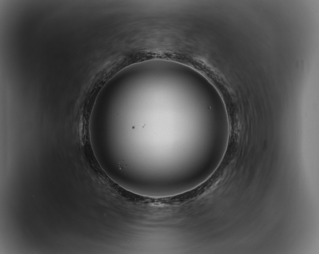 X0000088621398200705251232