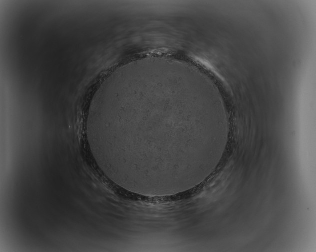 X0000088621399200705251232