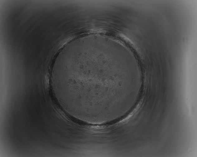 X0000088621401200705251232