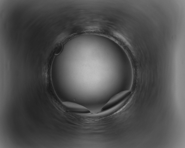 X0000088621403200705251232