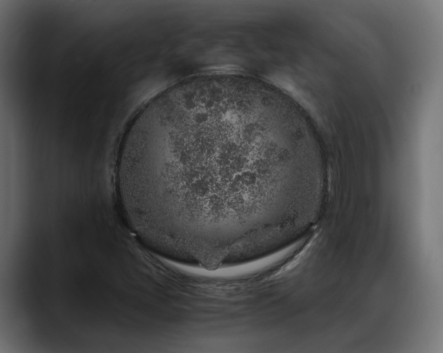 X0000088621405200705251232