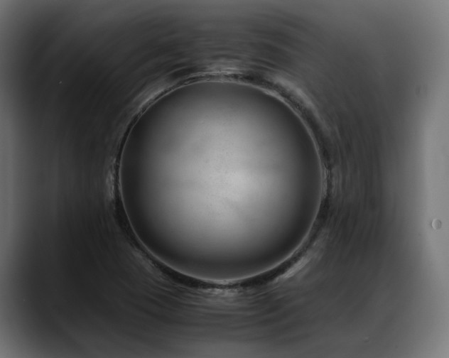 X0000088621409200705251232