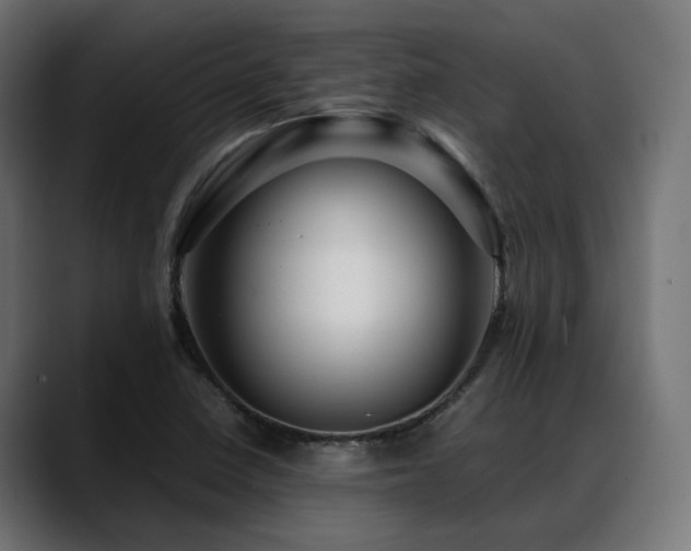 X0000088621410200705251232
