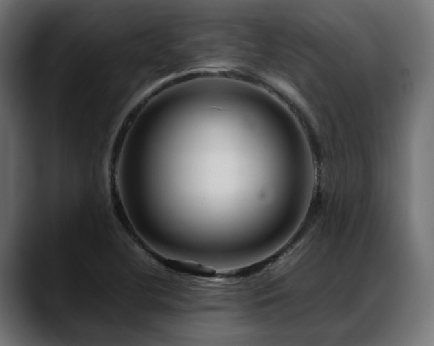 X0000088621412200705251232