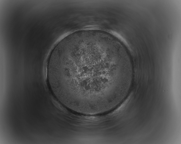 X0000088621413200705251232