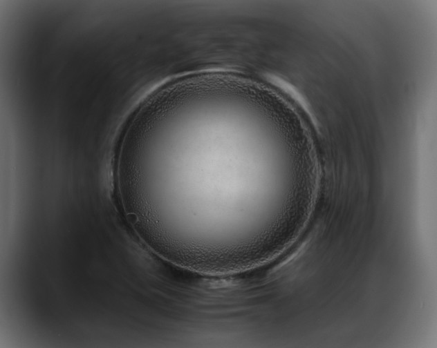 X0000088621415200705251232