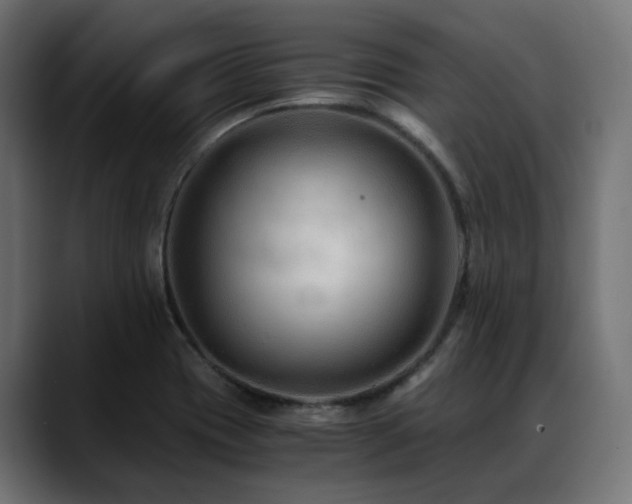 X0000088621417200705251232