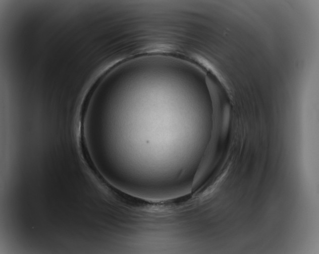 X0000088621418200705251232